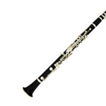 Clarinet lessons in Santa Monica - 90404