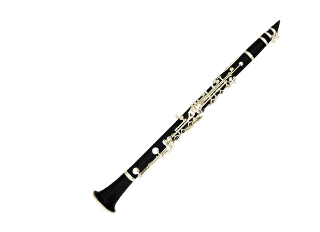 Clarinet Lessons
