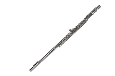 Flute Lessons